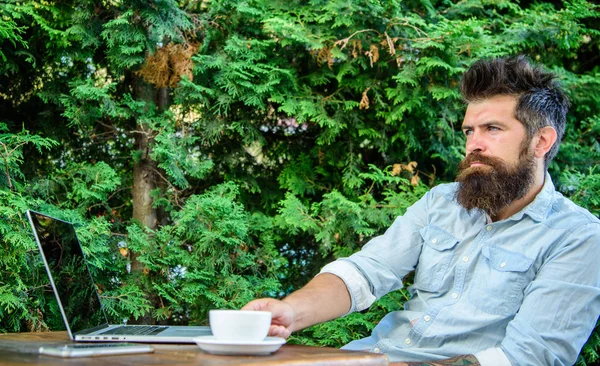 Take moment to think. Man bearded hipster make pause for drink coffee and think while sit with laptop. Break to relax. Guy drinks coffee relaxing terrace green branches background. Pleasant moment