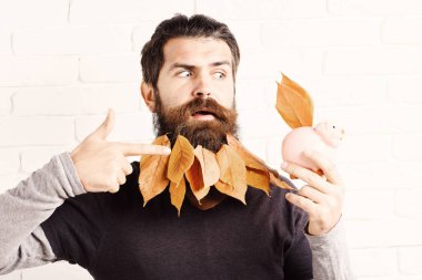 pembe domuz domuz banka beyaz tuğla duvar arka plan üzerinde ciddi yüzle uzun sakallı yakışıklı sakallı adam şık bıyık ve sonbahar sarı yaprak