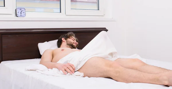 Normal erections occur. Macho sexy guy torso relaxing lay bedroom. Morning wood or formally known nocturnal penile tumescence common occurrence for man. Male health. Why men get morning erections