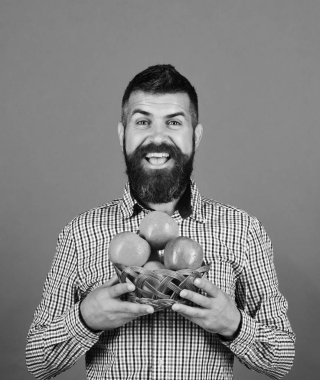 Adam homegrown hasat sunar. Çiftçi neşeli yüzü ile kırmızı elma tutar. Bahçe ve bitkileri