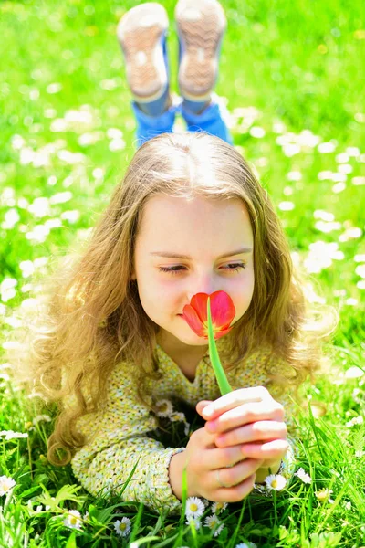 背景に草地の草の上に横たわる少女。若さと屈託のない概念。笑顔の女の子が赤いチューリップの花を保持して、香りをお楽しみください。子供が花と草原に横たわっている間春の晴れた日を楽しむ — ストック写真
