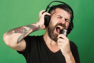 Sakallı DJ kulaklık takıyor. Adam yeşil arka plan üzerinde şarkı söylüyor. Şarkıcı sakal ve heyecanlı yüz ile müzik dinliyor.