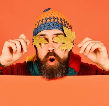 Ekim ve Kasım zaman fikri. Sonbahar ve soğuk hava