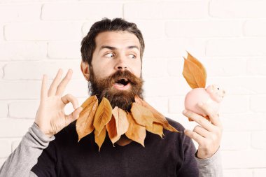 yakışıklı sakallı adam şık bıyık ve sonbahar sarı ok beyaz tuğla duvar arka plan üzerinde gösterilen pembe domuz domuz banka komik yüzünde uzun sakallı bırakır