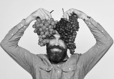 Sakallı adam elinde bir demet siyah ve yeşil üzüm tutuyor.