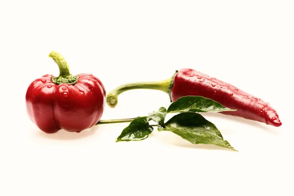Set of red hot chili peppers, closeup. Mexican spicy peppers — Stock Photo, Image