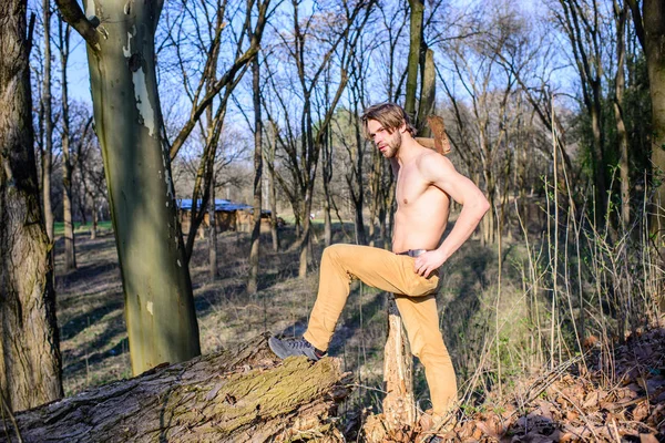 Męskie rekreacyjne. Drwal lub woodman sexy nagie mięśni tułowia zbieranie drewna. Man brutalnie silne atrakcyjny facet zbieranie drewna w lesie. Zroszony brutalny drwal sexy Man poszukuje dziennika — Zdjęcie stockowe