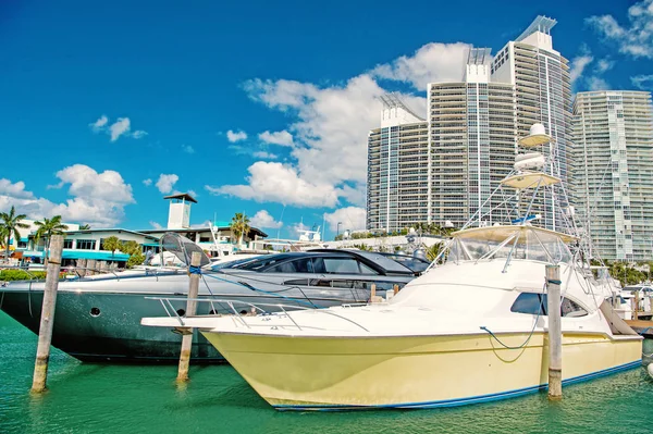 Marina in Miami Beach, Florida, VSA — Stockfoto