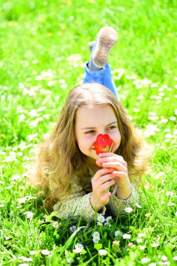Çimen, grassplot arka plan üzerinde yatan kız. Kırmızı lale çiçek kız güler yüz tutan, aroma zevk. Çocuk çayır çiçeklerle yatarken bahar güneşli günü tadını çıkarın. Mevsimlik Anti kavramı