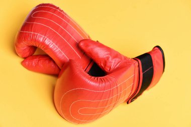 Koruma ve güç kavramı. Boks eldivenleri