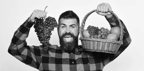 Farmer with happy face presents apples, cranberries and ripe grapes