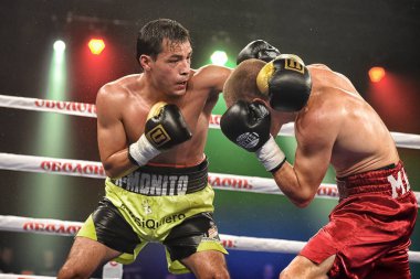 Kiev, Ukrayna - 16 Eylül 2017: Sparta boks Haritayı dahil altı sıralaması mücadele. Milli Güvenlik'Olimpiyskiy, Kiev, Ukrayna sıralaması için kavga sırasında halka tanımlanamayan bir boksörler