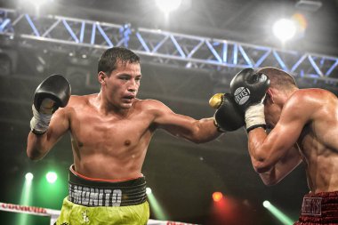 Kiev, Ukrayna - 16 Eylül 2017: Sparta boks Haritayı dahil altı sıralaması mücadele. Milli Güvenlik'Olimpiyskiy, Kiev, Ukrayna sıralaması için kavga sırasında halka tanımlanamayan bir boksörler