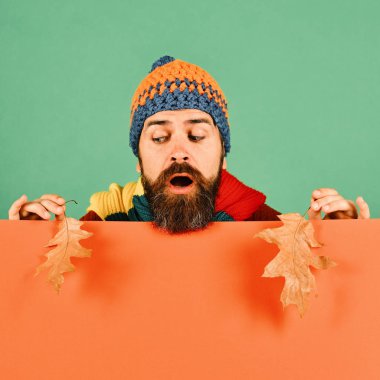 Sakallı, meraklı suratlı hippi aşağı bakıyor.