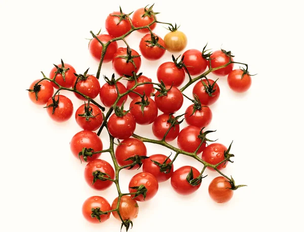 Agricultura e conceito de alimentos frescos. Composição de tomates cereja — Fotografia de Stock