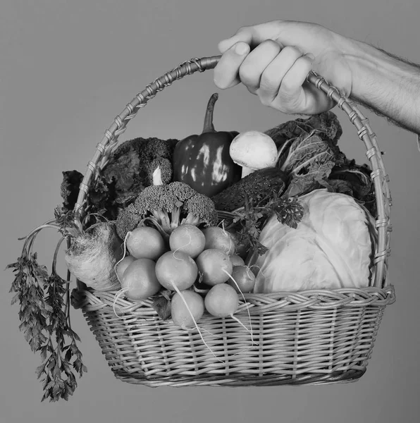Rolnik trzyma kapustę, rzodkiewkę, pieprz, brokuły, marchewkę, grzyby i sałatę. — Zdjęcie stockowe