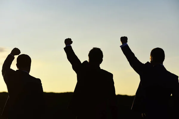 Managers wearing smart suits admire view. Business and success concept. Leaders discuss, project hold hands up. Silhouettes of men standing against sunset — Stock Photo, Image