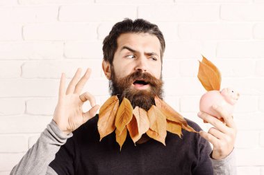 yakışıklı sakallı adam şık bıyık ve sonbahar sarı ok beyaz tuğla duvar arka plan üzerinde gösterilen pembe domuz domuz banka komik yüzünde uzun sakallı bırakır