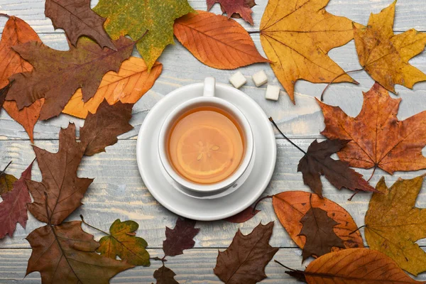 Taza de té verde con rodaja de limón cerca de las hojas —  Fotos de Stock