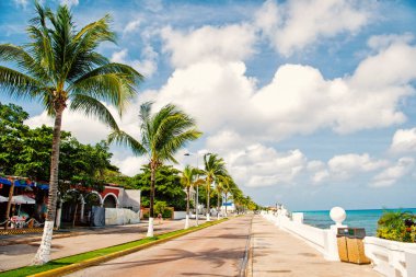 street road with waterfront near green palm trees, Cozumel, Mexico clipart