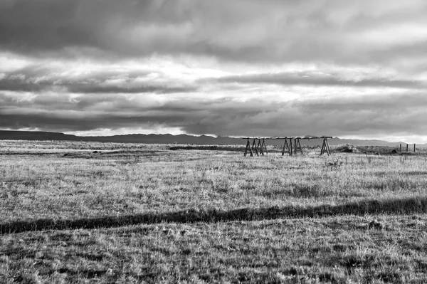 Campo de hierba en Reikiavik, iceland. Paisaje otoñal en cielo gris nublado. Clima y clima. Naturaleza otoñal y ecología. Concepto de vagabundeo o viajes y vacaciones —  Fotos de Stock