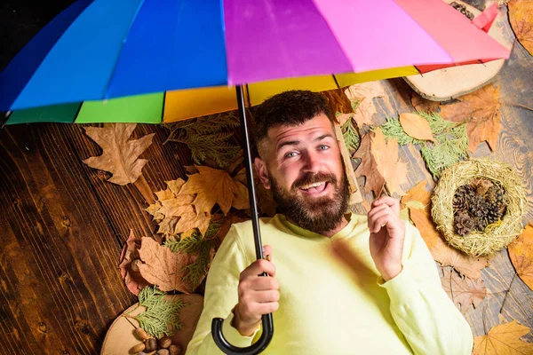 Hipster con bigote de barba esperar tiempo lluvioso celebrar paraguas disfrutar de la temporada. Concepto de pronóstico del tiempo lluvioso. Atributos atmosféricos. Hombre barbudo yacía sobre fondo de madera con hojas vista superior —  Fotos de Stock