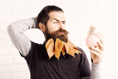 pembe domuz domuz banka beyaz tuğla duvar arka plan üzerinde ciddi yüzle uzun sakallı yakışıklı sakallı adam şık bıyık ve sonbahar sarı yaprak