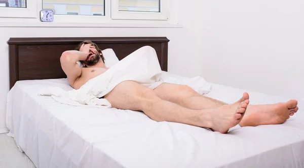 Male reproductive system. Why men get morning erections. Normal erections occur. Macho sexy guy torso relaxing lay bedroom. Morning wood formally known nocturnal penile tumescence common occurrence — Stok fotoğraf