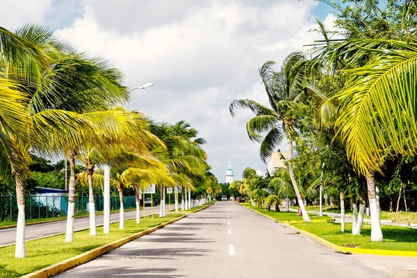 Street road or track with green palm trees, Cozumel, México — Foto de Stock