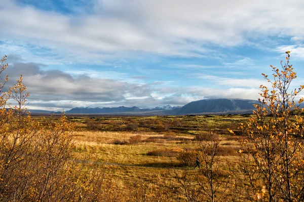 Island vanligt liggande vy med fält i reykjavik. hösten landskap av vanligt thingvellir. väder och klimat. natur och ekologi. natur platser för att stoppa. känsla av frihet. Island-bergen. — Stockfoto