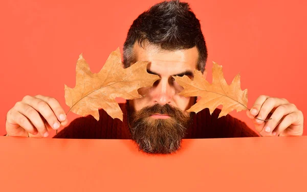 Hipster with beard and hidden eyes face plays with leaves