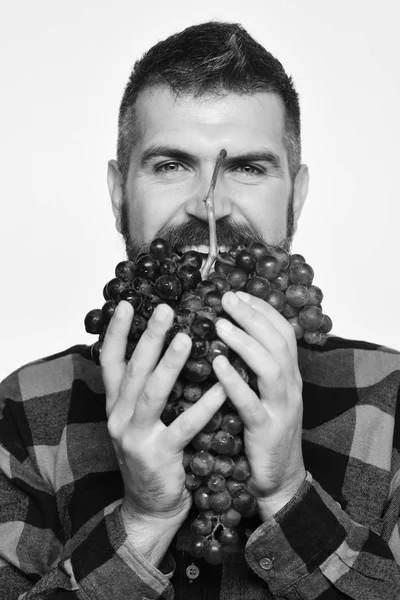 Weinbau und Herbstkulturen-Konzept. Winzer mit glücklichem Gesicht — Stockfoto