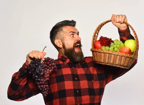 수염을 기르고 과일과 자주색 포도가 담긴 바구니를 들고 있는 사람 — 스톡 사진