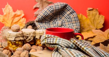 Sonbahar kova liste kavramı. Kupa rahat aromatik çay içecek eşarp ve muamele etmek. Bir fincan çay eşarp kırmızı arka plan düşmüş akçaağaç yaprakları ve ceviz ile çevrili. Rahat sonbahar atmosferinin keyfini çıkarın