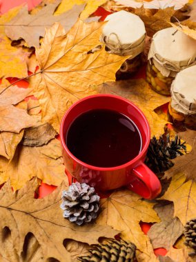 Set üç reçel kavanozlara doğal tatlılar tatlım ve bir fincan çay arka plan düşen yapraklar kaplı. Ev yapımı doğal tatlılar ile sonbahar içecek. Doğal ev yapımı davranır sonbahar sezonu sağlıklı tutmak