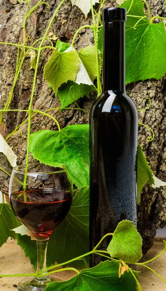 Winery art concept. Bottle wine and wineglass natural environment. Sommelier recommend high quality product. Natural alcoholic beverage without additives. Wine bottle wooden background grape leaves