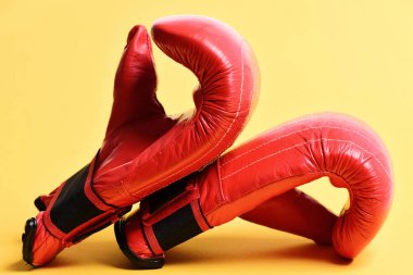 Bir çift boks eldiveni yan yana yatar.