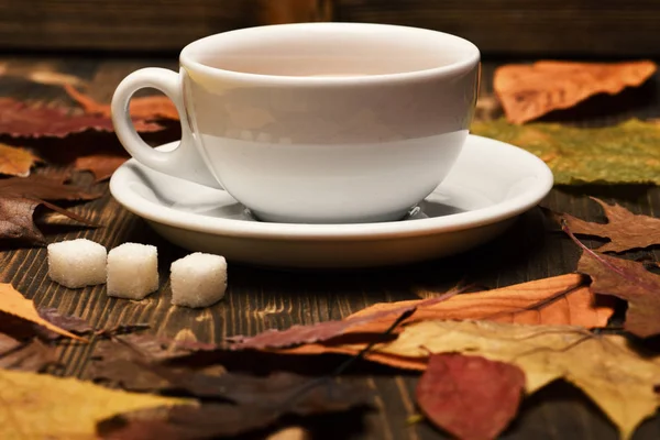 Sonbahar yaprakları kahve ya da çay fincanı ile desenli