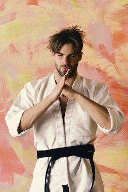 Spor ve dövüş konsepti. Güçlü vücutlu karate dövüşçüsü