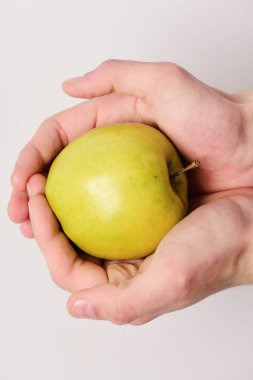 Erkek el avuç içi ışık yeşil elma tutar.
