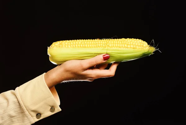 Жіноча рука тримає кукурудзу ізольовано на чорному тлі — стокове фото
