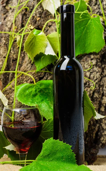 Vinflaska trä bakgrund vinblad. Vingården konst koncept. Flaska vin och vinglas naturliga miljö. Sommelier rekommenderar produkt av hög kvalitet. Naturliga alkoholhaltig dryck utan tillsatser — Stockfoto