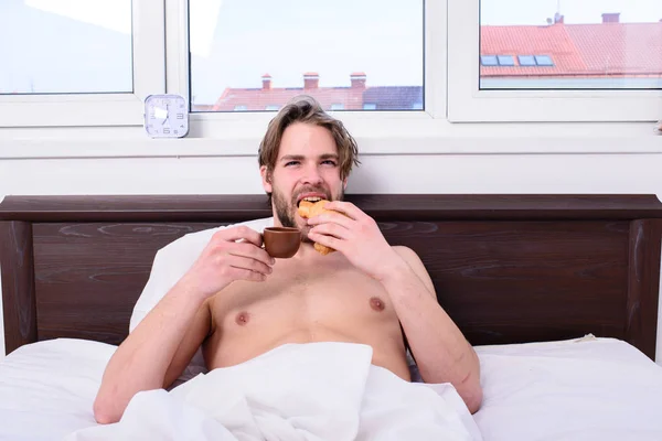 Man bearded handsome guy eating breakfast in bed. French breakfast stereotype. Man eats croissant and drinking coffee. Guy having coffee and holds croissant while lay bed in bedroom or hotel room