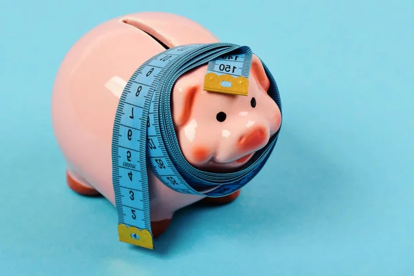 Investments and metering or counting idea. Piggy bank