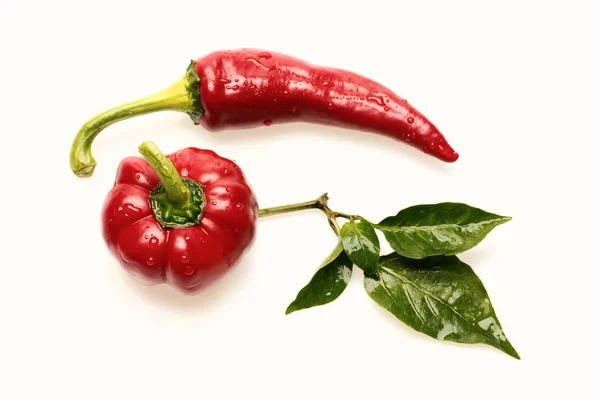 Red Hot Chili peppers z głęboko czerwony kolor na białym tle — Zdjęcie stockowe