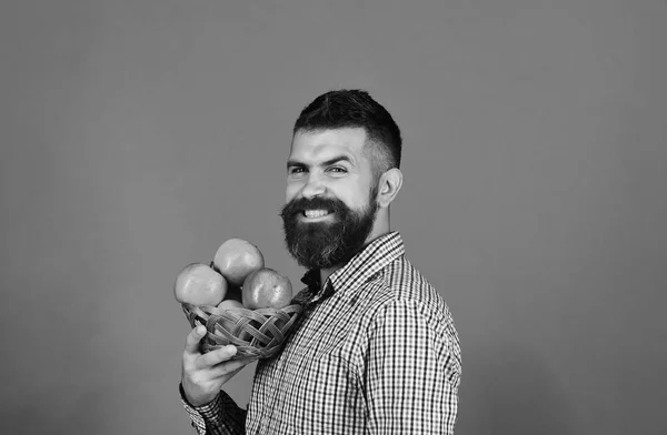 Guy präsentiert hausgemachte Ernte. Landwirt mit lächelndem Gesicht — Stockfoto
