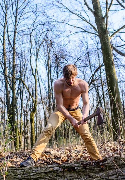 Atractivo guardabosques. Madera leñadora sexy desnuda torso muscular recogiendo madera. Hombre brutal chico atractivo recogiendo bosque de madera. Hombre con cuentas hacha brutal hackeo leñador sexy. Ocio masculino — Foto de Stock