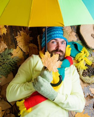 Hipster wear knitted hat and gloves expect rainy weather hold umbrella. Fall season attributes. Man bearded with umbrella lay on wooden background with leaves top view. Rain metcast concept clipart