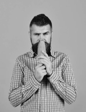 Adam hasatını gösteriyor. Şüpheli yüzlü çiftçi mısır kokusu alıyor.