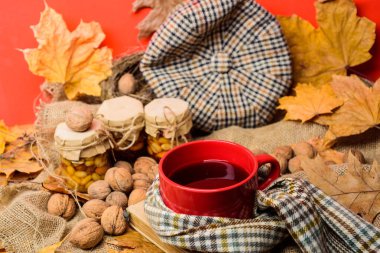 Bir fincan çay eşarp kırmızı arka plan düşmüş akçaağaç yaprakları ve ceviz ile çevrili. Sonbahar kova liste kavramı. Kupa rahat aromatik çay içecek eşarp ve muamele etmek. Rahat sonbahar atmosferinin keyfini çıkarın